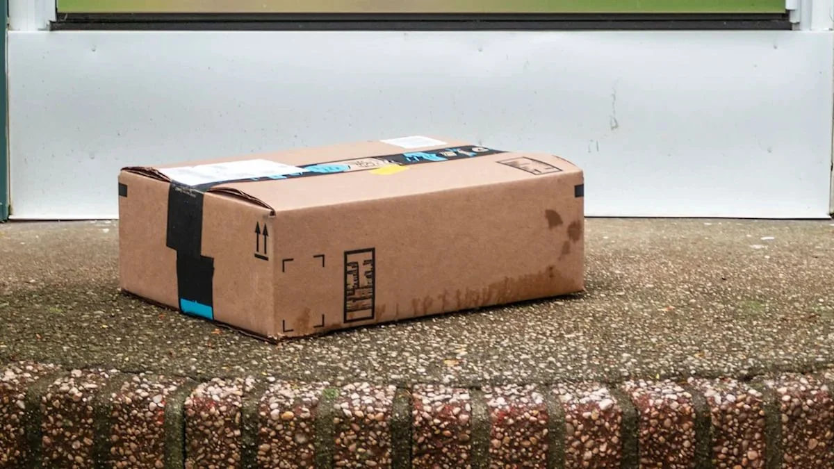 Live Cobra Found Inside Amazon Package in Bengaluru