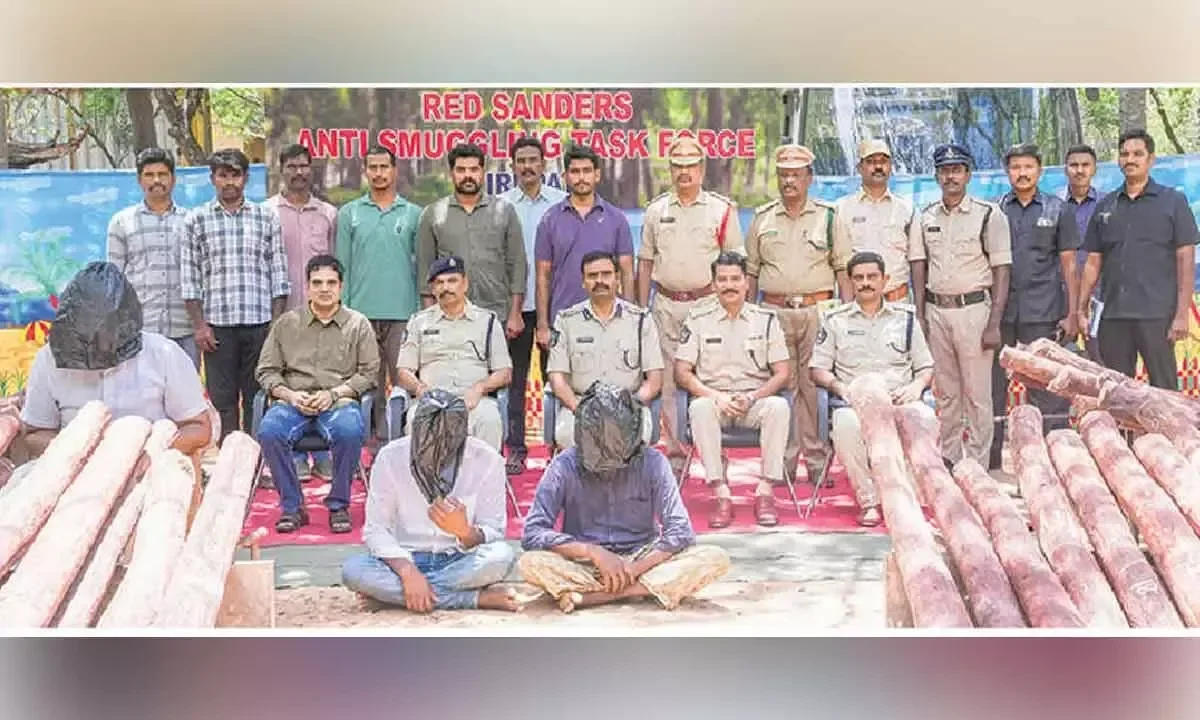 Anti-Smuggling Task Force Seizes 109 Red Sanders Logs Worth Rs 2 Crore
