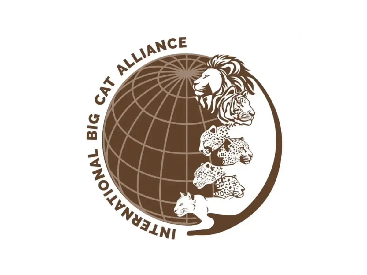 Bangladesh Joins International Big Cat Alliance for Wildlife Conservation