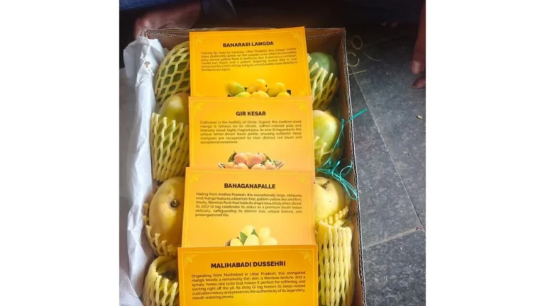 BJP Mango Diplomacy Targets 82 Foreign Missions in New Delhi