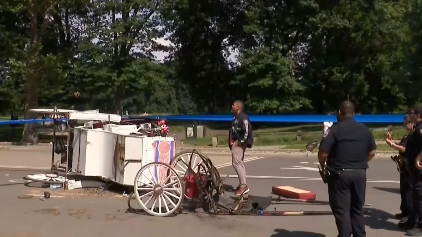 Indian Tourist Dies in Central Park Carriage Crash