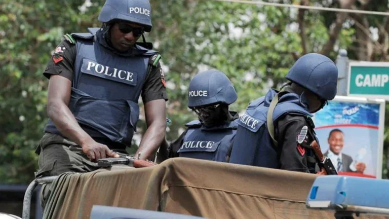 Ekiti Election Security Forces Clear Forest Criminal Hideouts