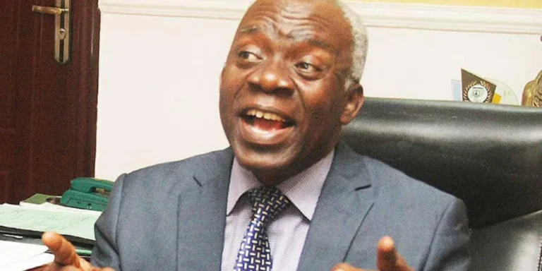 Femi Falana Demands Comprehensive Democratic and Rights Reforms Ahead of 2027 Nigeria Elections
