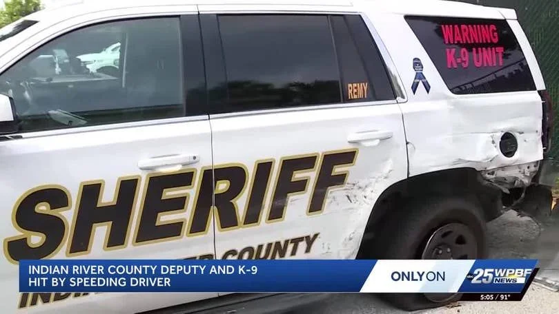 Florida Deputy and K-9 Survive 100 MPH Crash