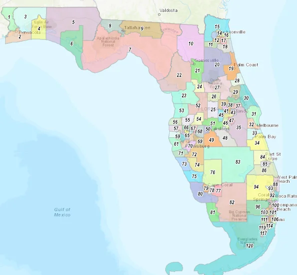 Florida House District 81 Race Draws Democratic Challenger Finer