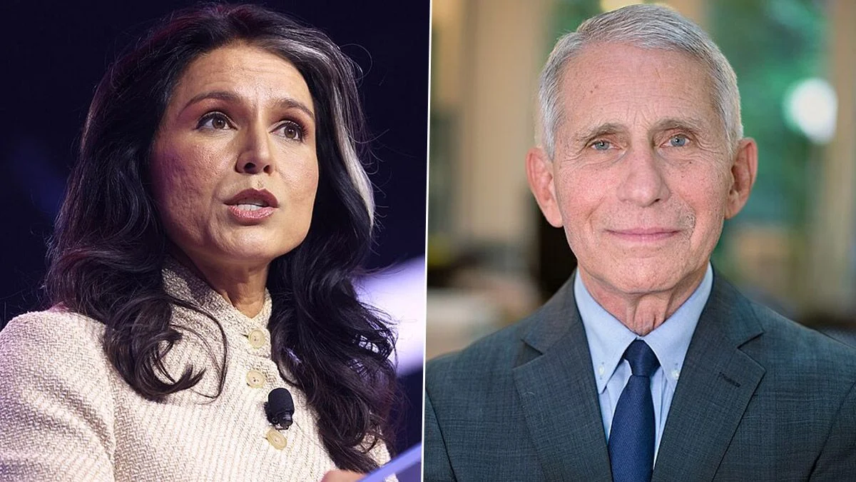 Tulsi Gabbard Declassifies Fauci Covid-19 Origin Intelligence Files