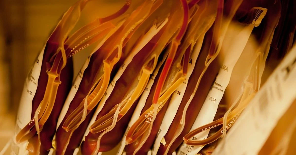 India Set to Establish World-First Blood Standards in IP 2026