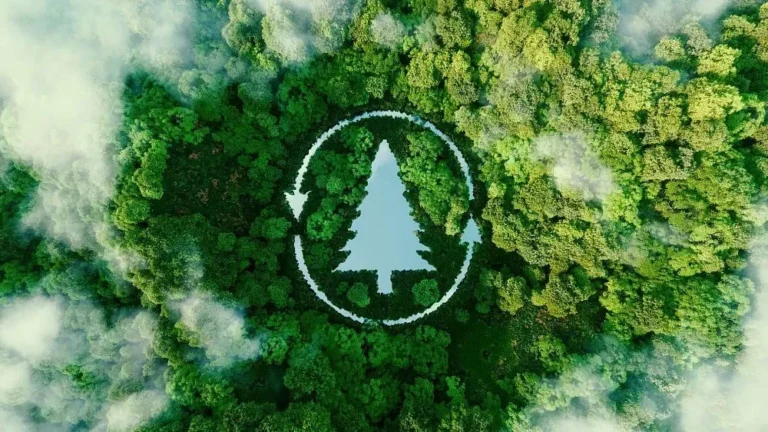 India Restores 21.7 Million Hectares of Degraded Land