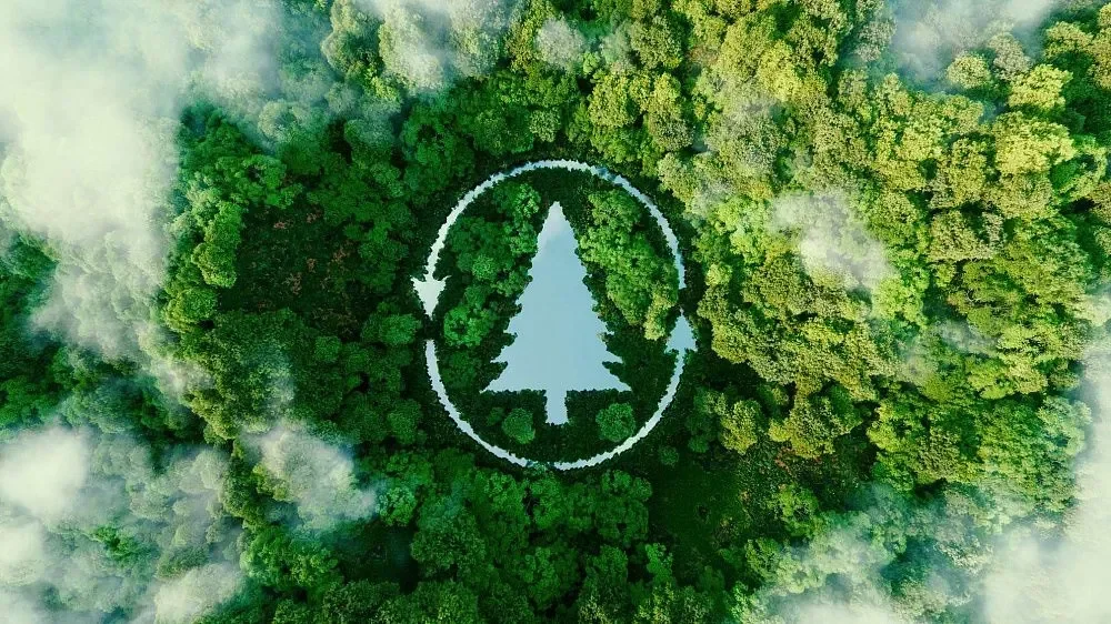 India Restores 21.7 Million Hectares of Degraded Land