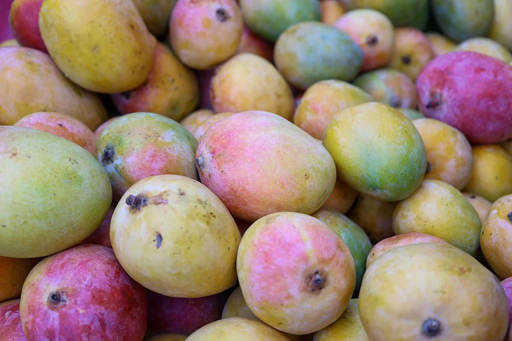 New Market: India Promotes Mangoes in Iceland to Boost Agricultural Exports