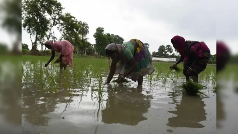 Weak Monsoon Risks India Economic Growth and Food Inflation