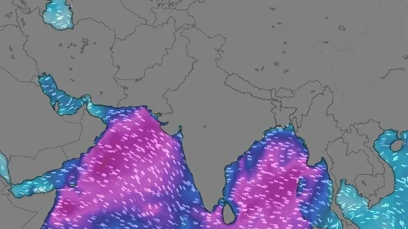 India Monsoon Stall Risks Ecosystem Stability As June Rain Shortfall Hits Forty Percent The southwest monsoon stalled fo...