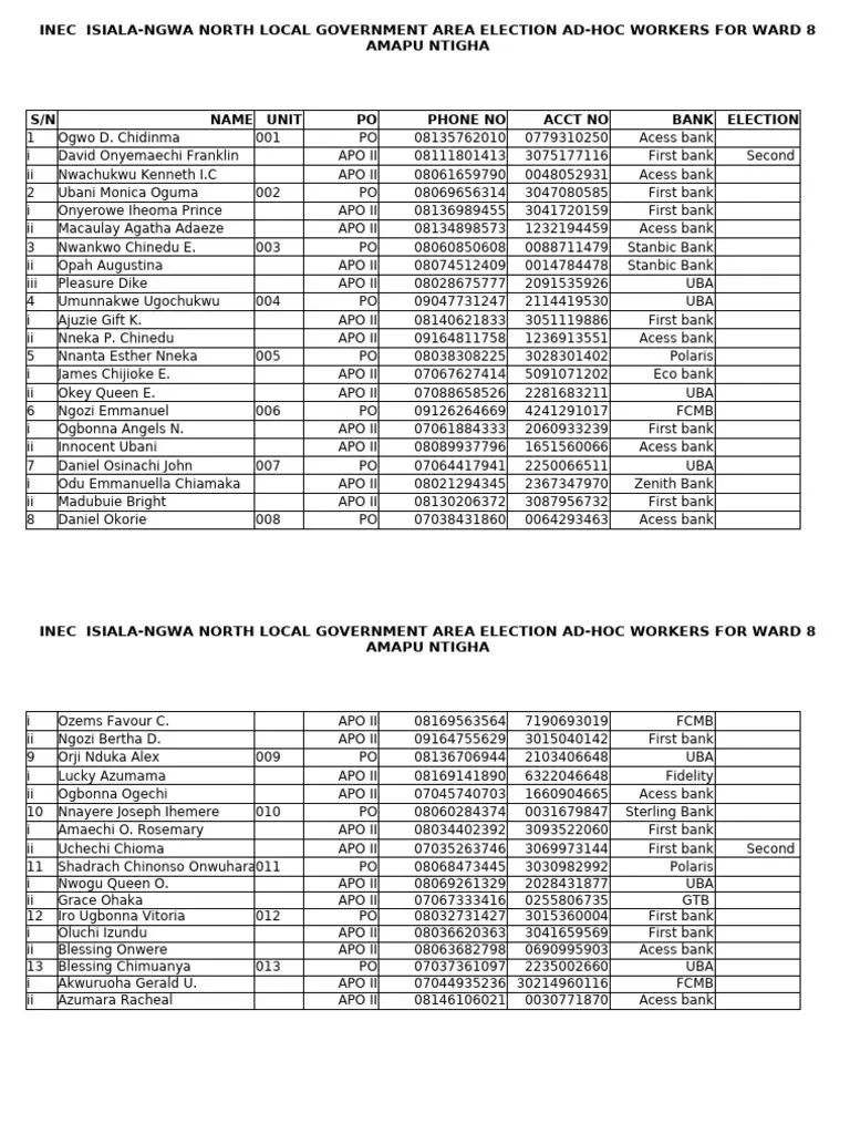 INEC Reports Minor Polling Delays in Peaceful Ekiti Governorship Election