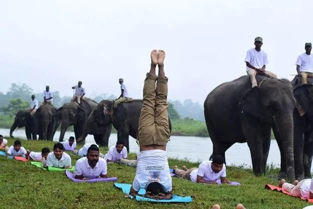 International Day of Yoga 2026 Achieves Global Scale