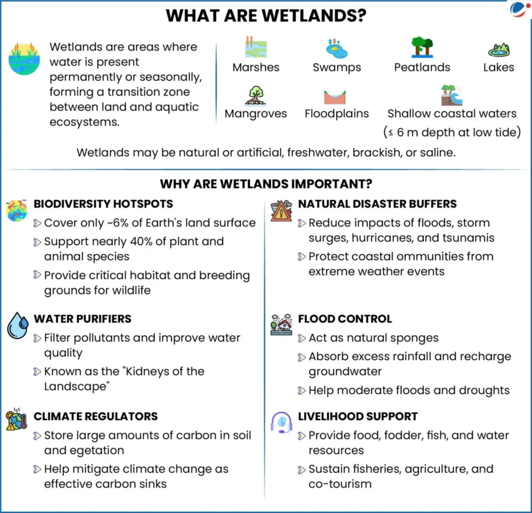 Jai Prakash Narain Bird Sanctuary and Ramsar Convention Overview