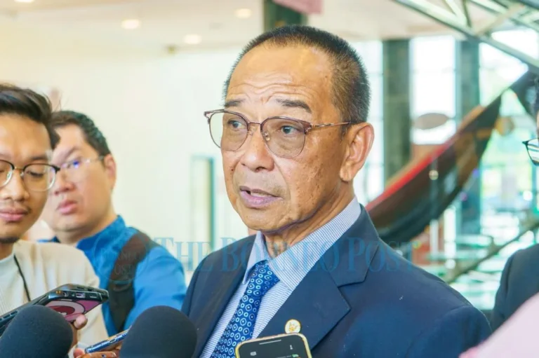Sarawak Minister Urges Immediate Crocodile Removal After Viral Video