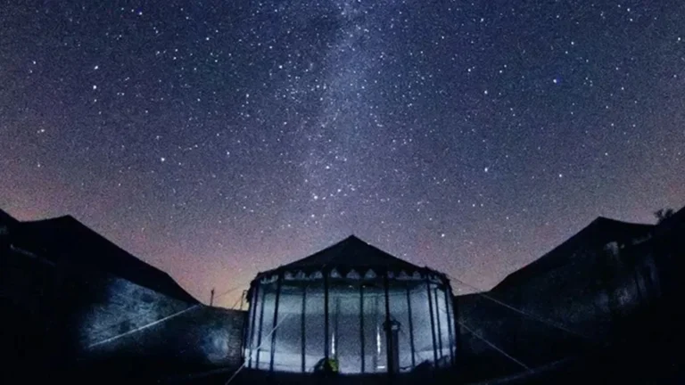 Global Light Pollution Escalates Disrupting Circadian Rhythms And Ecosystems