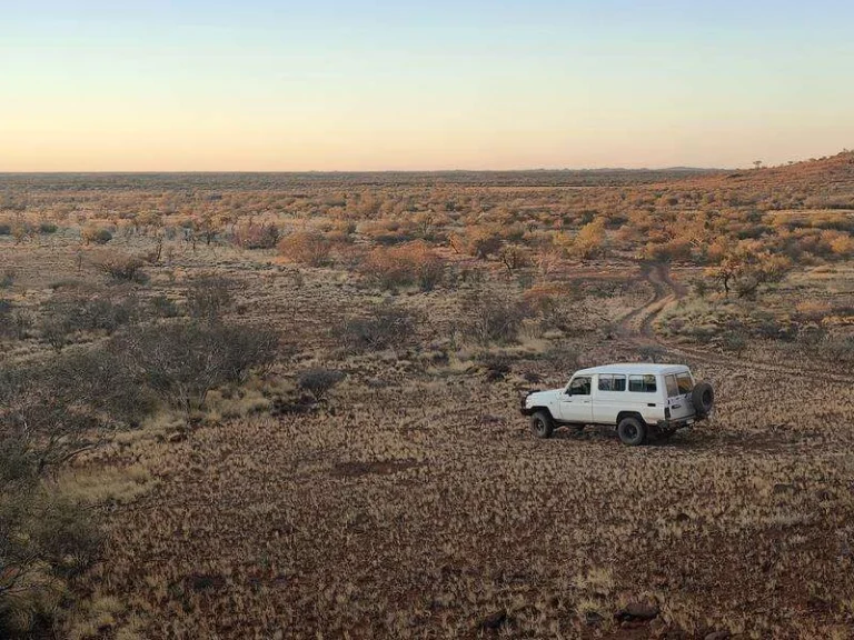 Remote Indigenous Art Centres Face Rising Travel Costs