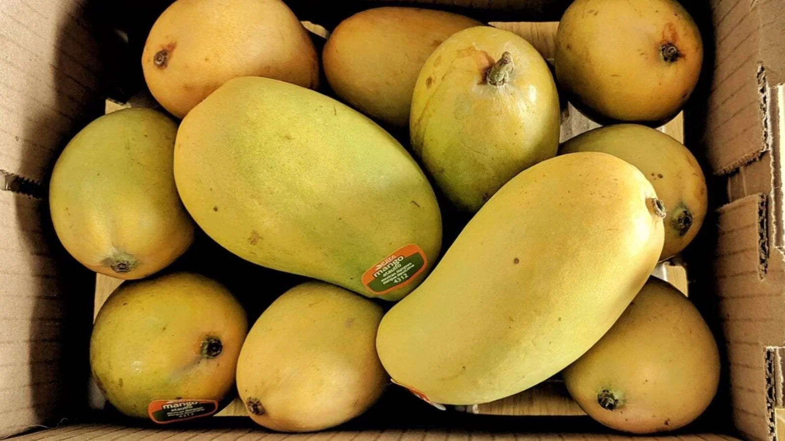 Top Five South Indian Mango Varieties to Savour