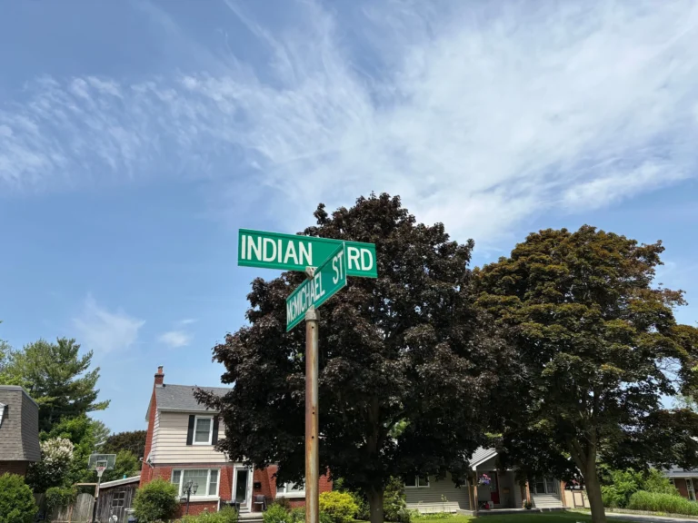 Strathcona Park Council Votes to Rename Indian Road to Aki Road