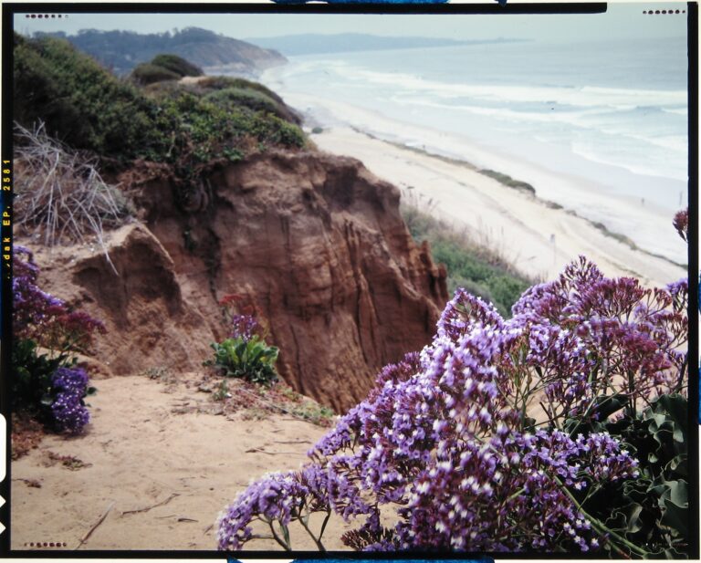 Del Mar coastline, California (illustrative file photo)