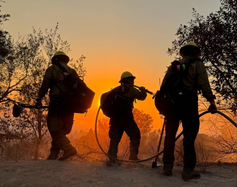 Angeles National Forest firefighters: CalArts Unveils Mural Honouring Firefighters, CalArts firefighters mural (illustrative file photo)