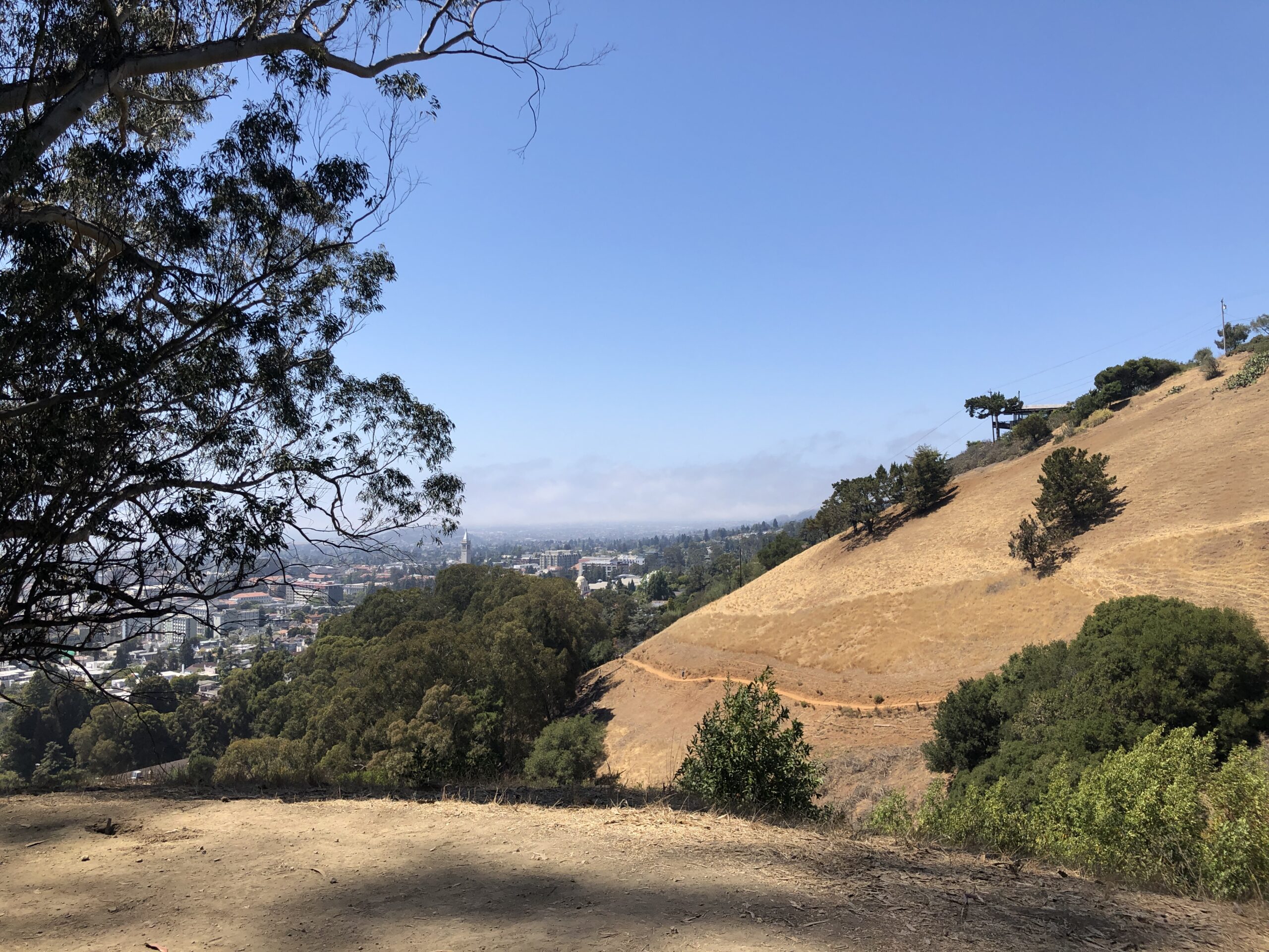 Panoramic Hill, Berkeley: Berkeley Hills Brush Fire Damages Home Near Skyfall Estate (illustrative file photo)