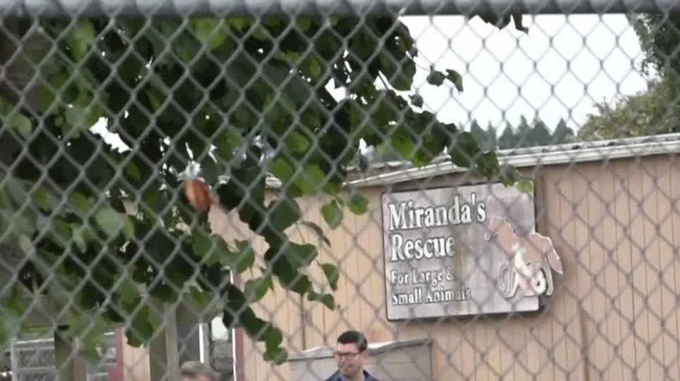 Miranda’s Rescue Animal Sanctuary near Fortuna, California, where investigators recovered 117 dead dogs during an animal welfare investigation