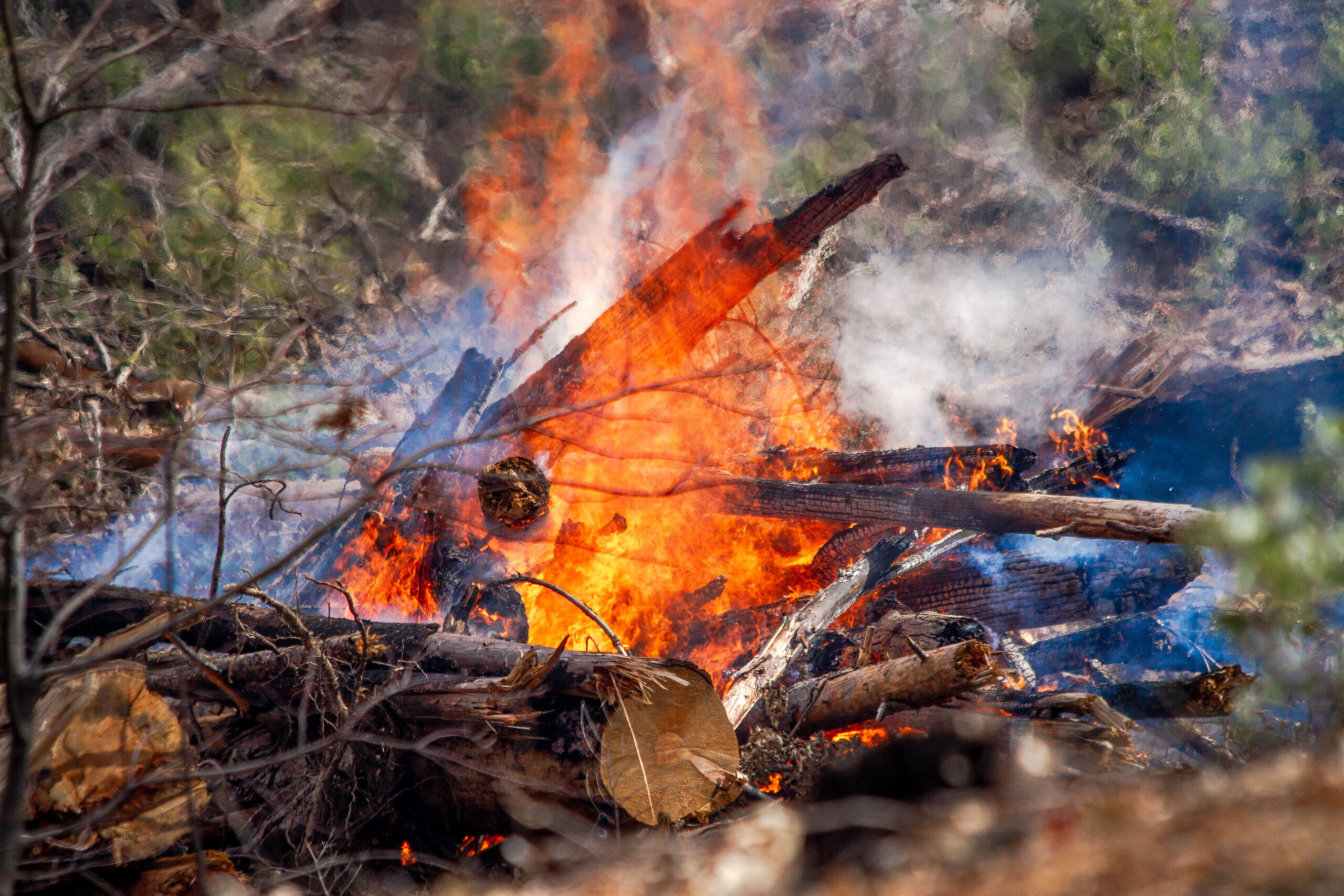 A debris pile burns during a prescribed burn at Letts Lake, Mendocino National Forest (illustrative file photo)