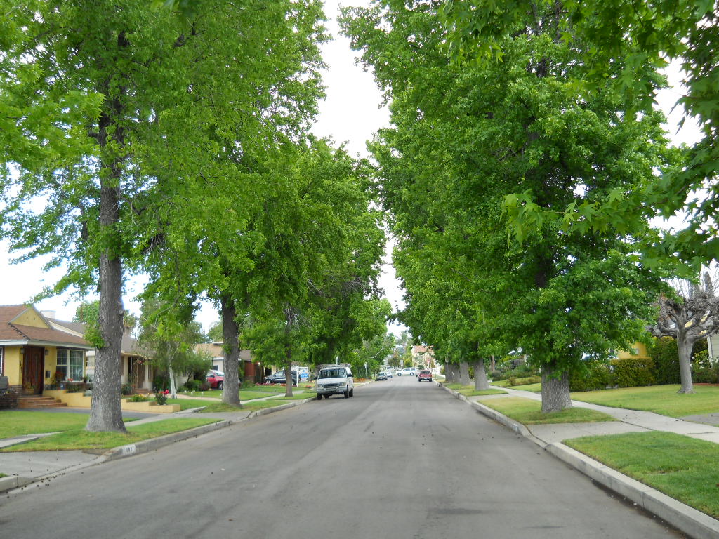California home insurance crisis: suburban homes in Van Nuys, Los Angeles