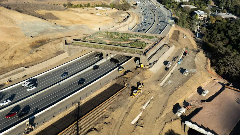 A high-angle drone photograph capturing the massive Wallis Annenberg Wildlife Crossing structure spanning across the