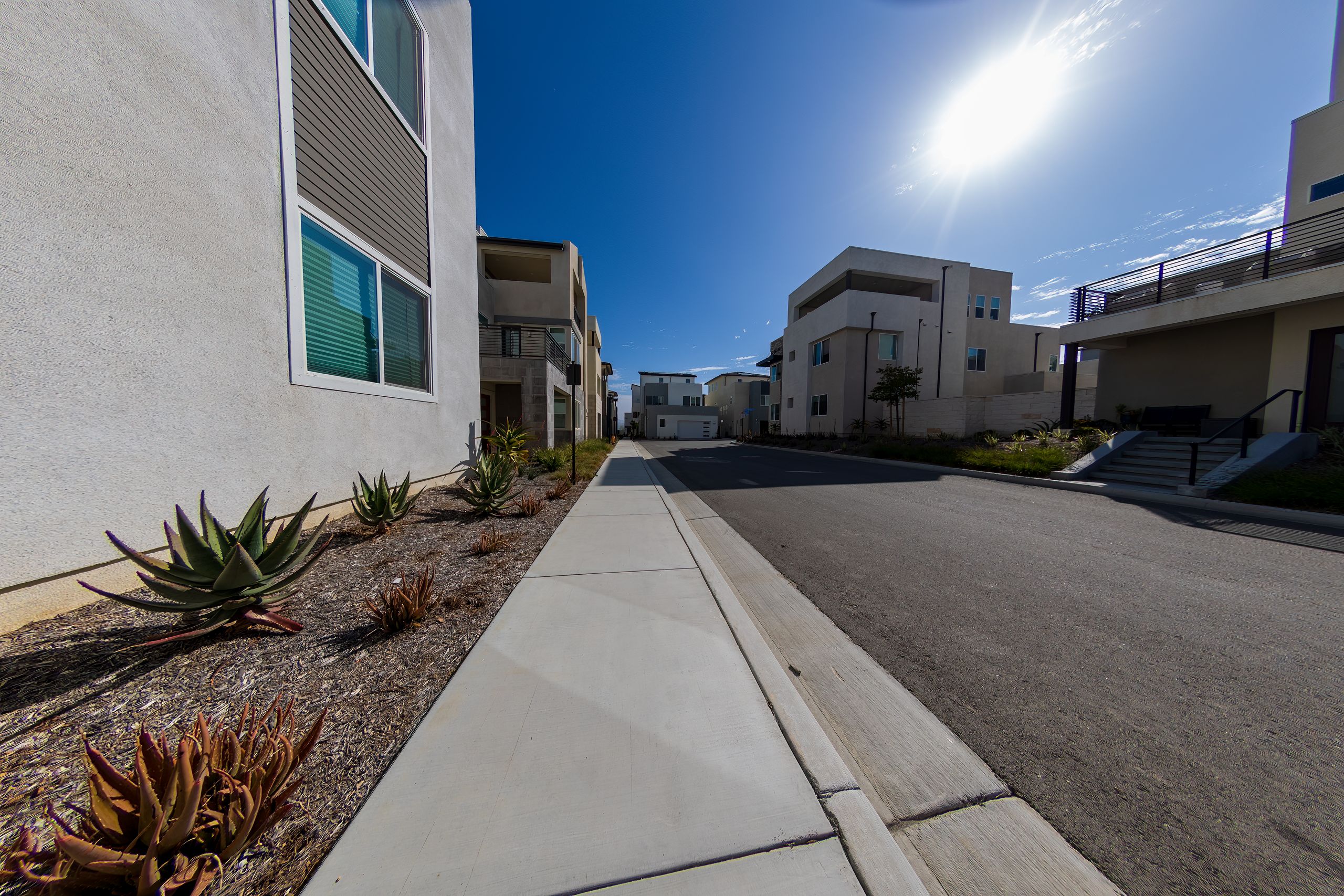 Wide-angle view of a sunny suburban street with modern homes and a clear blue sky, capturing peaceful residential living.